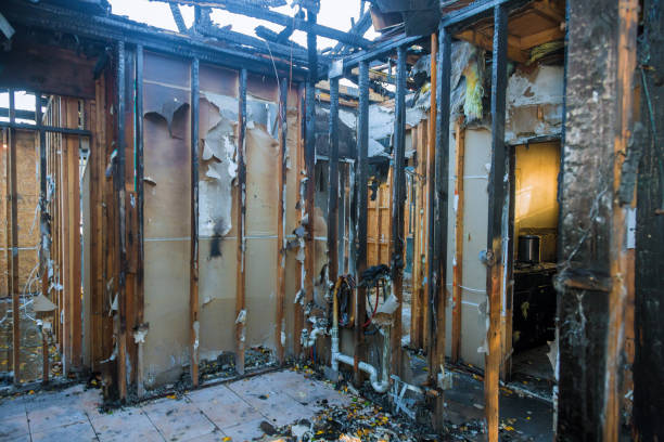 Professional Fire Damage Removal technician working in Ferndale, MI